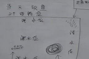 黑坑钓鱼方法和技巧有哪些？如何提高钓鱼成功率？