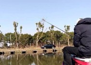 河流野钓鲤鱼调漂法技巧是什么？如何提高成功率？