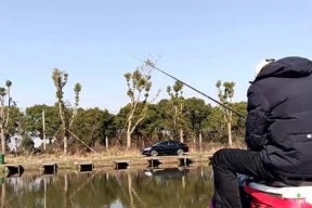 河流野钓鲤鱼调漂法技巧是什么？如何提高成功率？
