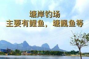 副场钓鱼技巧教程？如何快速掌握副场钓鱼技巧？