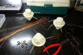 浮球钓鲢鳙技巧教学？如何提高钓鲢鳙的成功率？
