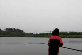探秘钓鱼世界的生活方式和技巧（钓鱼，享受大自然的乐趣与技巧之门）