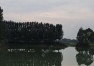 河水深水钓鱼技巧教程？如何提高深水钓鱼的成功率？