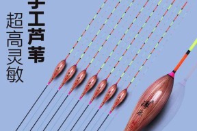 浮漂水下钓鱼技巧有哪些？如何根据水下情况选择合适的浮漂？