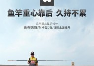 防波堤上手竿钓鱼的技巧是什么？如何提高钓鱼成功率？