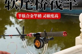 筏竿钓鱼技巧经验有哪些？如何提升钓鱼成功率？