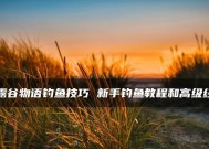 如何快速掌握钓鱼的技巧与方法？教程在哪里找？