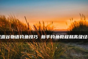 如何快速掌握钓鱼的技巧与方法？教程在哪里找？