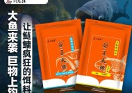 纯腥饵钓鱼技巧（提升钓鱼成功率的实用技巧）