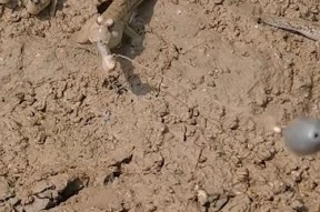 干旱地区钓鱼技巧教程？如何在缺水环境下成功钓鱼？