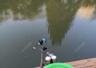 夏日闷热钓鱼技巧与方法（应对炎炎夏日的闷热）