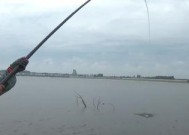 河中钓鱼选位技巧是什么？如何根据季节变化选择最佳钓位？