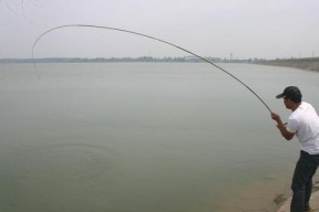 流水钓法之野钓技巧（掌握流水钓法）