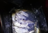 德国柏林钓鱼技巧教学？如何在柏林水域成功钓到鱼？