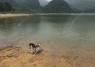 多雨天气钓鱼技巧是什么？如何应对雨天钓鱼的挑战？