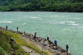 闷热天气下的钓鱼技巧（应对高温天气）