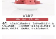 方块饵料沉底钓鲢鳙技巧有哪些？如何提高钓鲢鳙的成功率？
