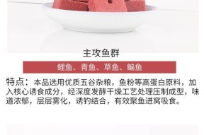 方块饵料沉底钓鲢鳙技巧有哪些？如何提高钓鲢鳙的成功率？