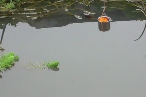 野钓看漂抬竿技巧——钓鱼高手的秘密（揭开野钓看漂抬竿的神奇魅力）