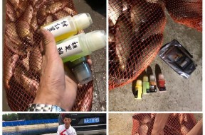 雨天野钓黑塘的最佳方法与技巧（掌握关键技巧）