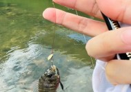 河水湍急钓鱼技巧有哪些？如何应对湍急河流中的钓鱼挑战？