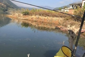 春季钓鱼打窝子技巧有哪些？如何提高钓鱼成功率？