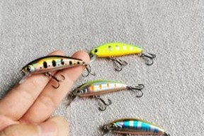 浮水米诺钓马口操作技巧是什么？如何提高钓马口的成功率？