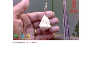 河里流水钓鲢鳙技巧有哪些？如何提高钓鲢鳙的成功率？
