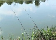 如何掌握钓鱼选位技巧以提高野钓成功率？