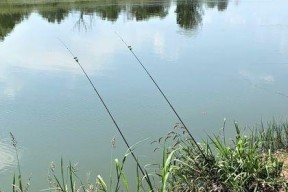 如何掌握钓鱼选位技巧以提高野钓成功率？