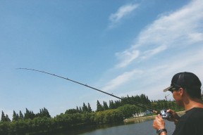 钓鱼达人的窍门（掌握技巧，轻松打造丰富的渔获）