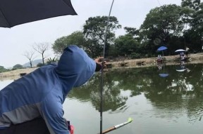 春天阴雨天气钓鱼技巧是什么？如何应对春季多雨天气的钓鱼挑战？