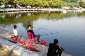 钓鱼技巧（打造钓鱼高手）