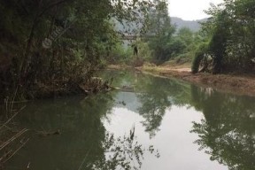橄榄坝水库钓鱼技巧和方法有哪些？如何提高钓鱼成功率？