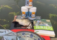 饵料钓鱼的技巧有哪些？如何选择合适的鱼饵？