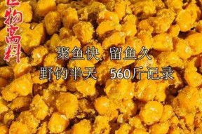 玉米下竿钓鱼技巧（掌握这些技巧）