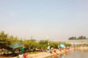 肥水塘钓鱼的方法和技巧是什么？如何提高钓鱼成功率？