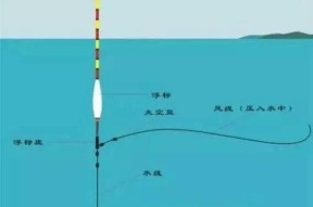 河流台钓调漂技巧教学？如何快速掌握台钓调漂？