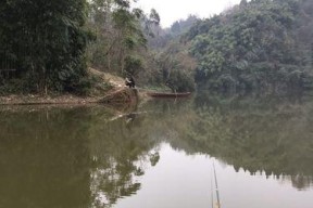 淡水水库新手钓鱼技巧？如何快速掌握并成功钓到鱼？