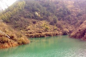 湖北杨冲水库钓鱼技巧（探寻湖北杨冲水库钓鱼的窍门与经验）