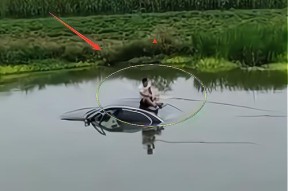 肥水塘钓鱼打窝技巧是什么？如何有效提高钓鱼成功率？