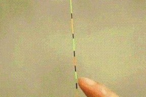 如何掌握钓鱼调平水调漂技巧？常见问题有哪些？