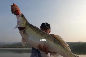 初春武汉钓鱼技巧有哪些？如何提高钓鱼成功率？