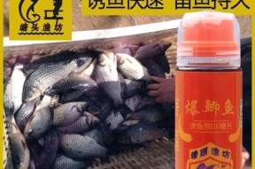 钓鱼饵料配方小药使用技巧（提高钓鱼成功率的关键-饵料和小药的选择与使用技巧）