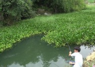 河流选窝钓鱼技巧有哪些？如何提高钓鱼成功率？