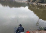 放养的鱼塘钓鱼技巧有哪些？如何提高钓鱼成功率？