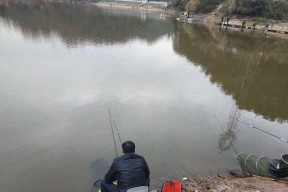 放养的鱼塘钓鱼技巧有哪些？如何提高钓鱼成功率？