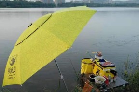 谷雨节后钓鱼技巧（提高钓鱼成功率的窍门与经验）