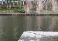钓鱼线组断线技巧（掌握钓鱼线组断线技巧，提高钓鱼成功率）