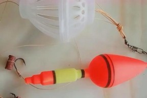 低温季节钓鱼技巧有哪些？如何提高钓鱼成功率？